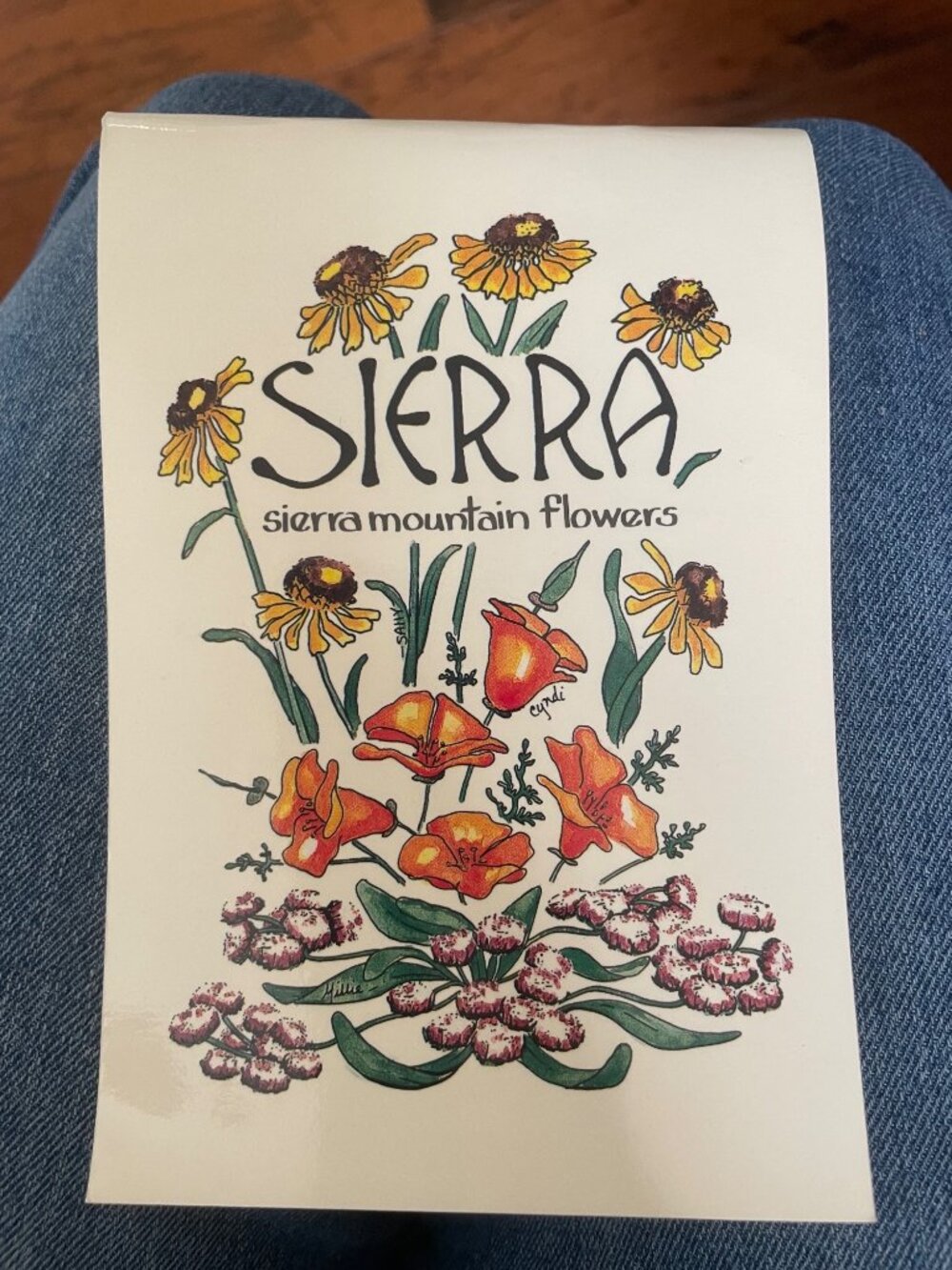 Sierra Mountain Flowers By Millie Miller 1981 Illustrated Wildflower Guide